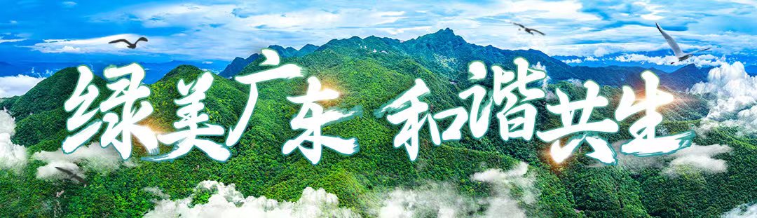 綠美廣東